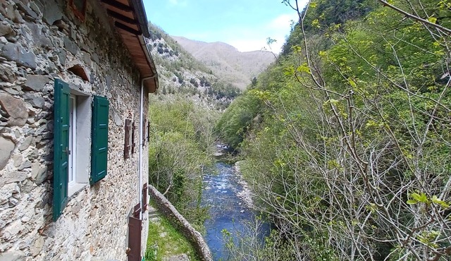 ANCIENT HOUSE ON THE RIVER
