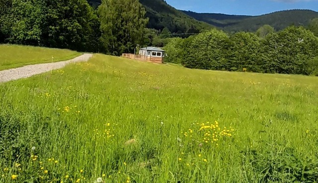 And why not?.rent a mobile home in the heart of nature