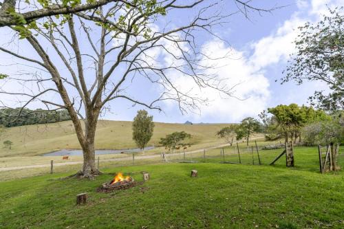Anderlaine at Maleny