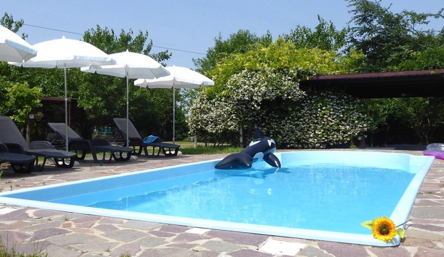 Andrea Apartment Pool, Garden, Treviso