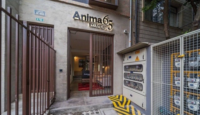 Anima 65