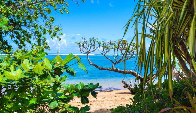 Anini Ohana Hale TVNC#4255