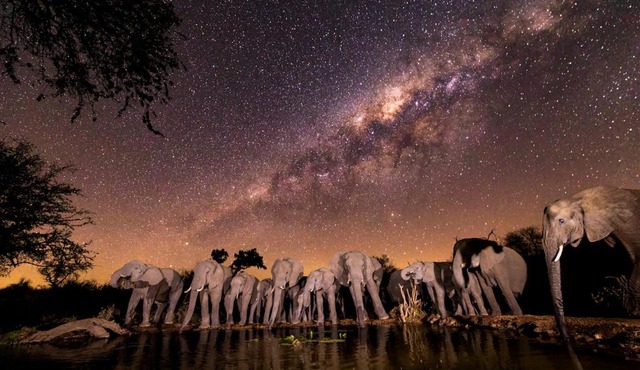 Antares Bush Camp & Umgede Hide