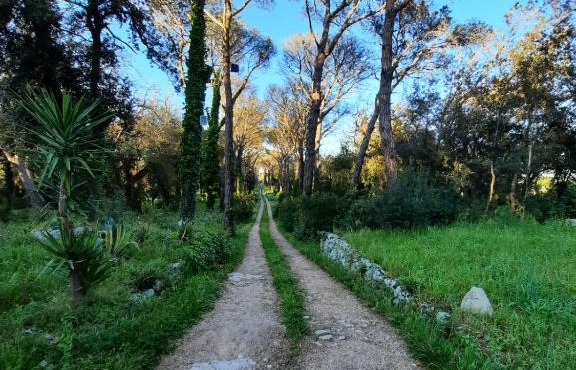 Antica riserva dei daini