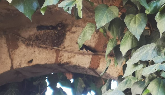 Antico Borgo di Torri