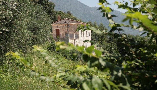 Antico Casolare Ceselenardi