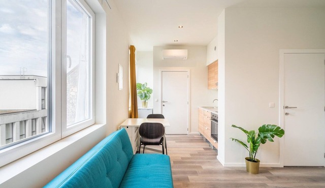 Antwerp central city apartment
