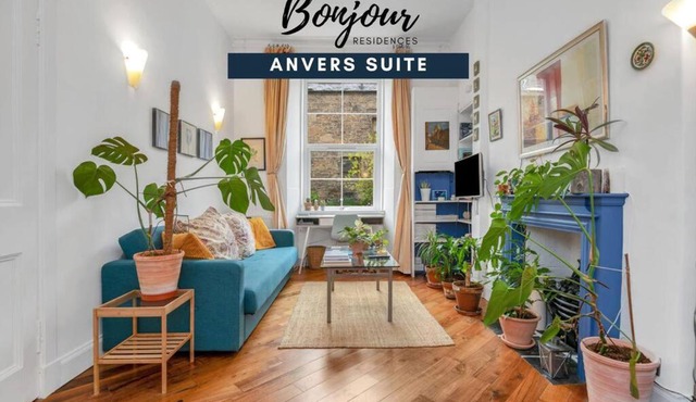 Anvers Suite