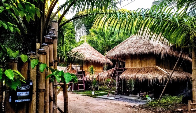 Aoluek Paradise