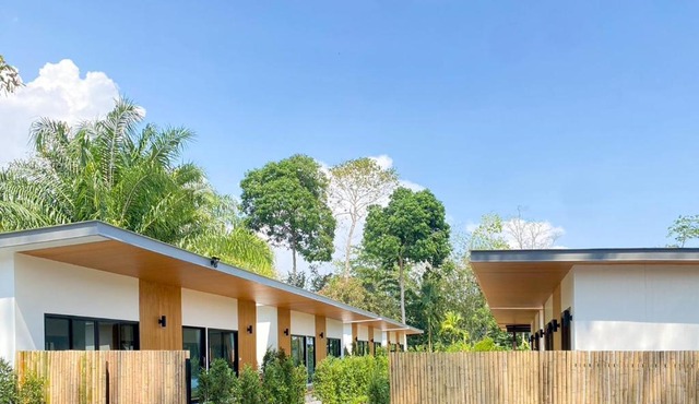 Aonang Green Tree