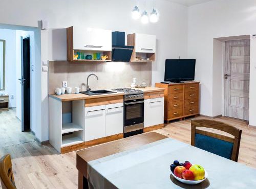 Apartament LUX centrum 26