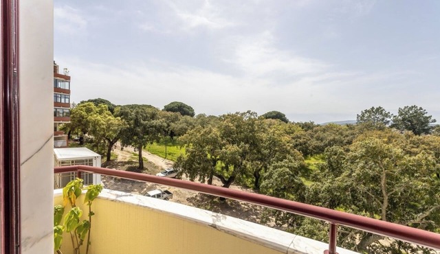 Apartamento 55, Setúbal