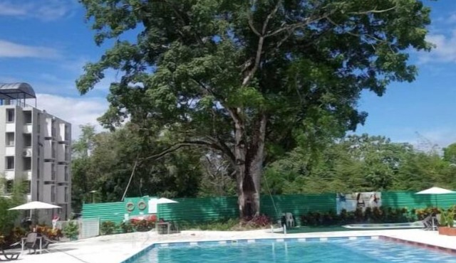 Apartamento/