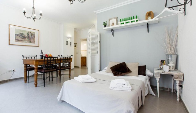 Apartamento Madrid Centro Calle Toledo