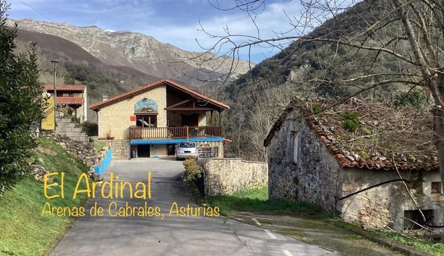 Apartamentos El Ardinal