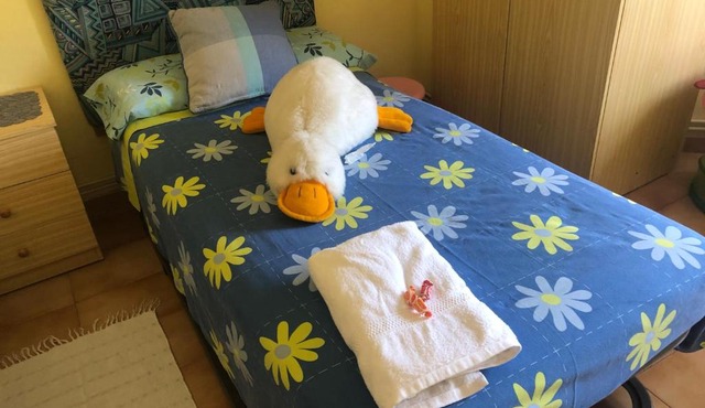 Apartamentos MyM