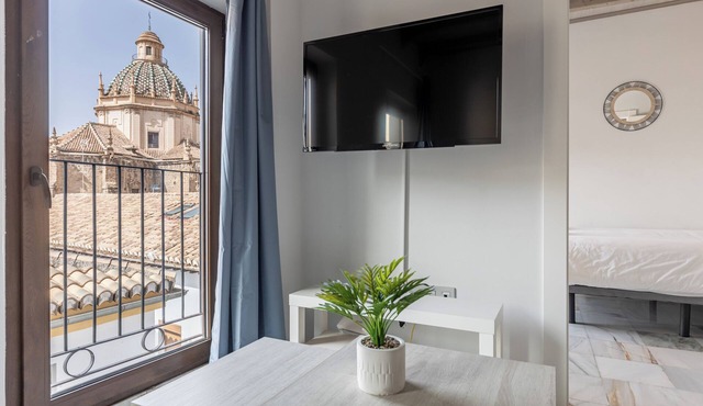 Apartamentos Realejo Granada Centro 3000