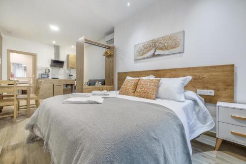 Apartamentos Toril