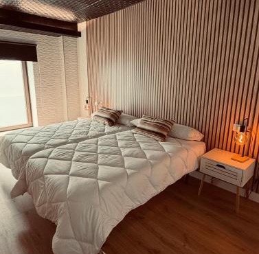 Apartamentos villa Carolina