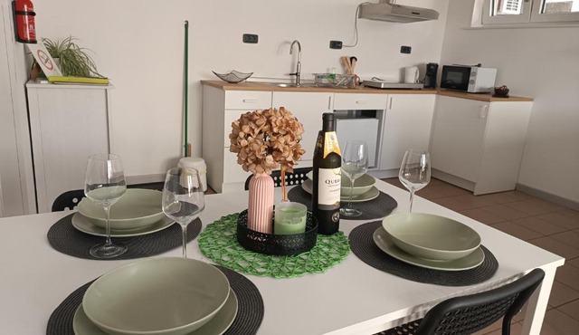 Apartma 31
