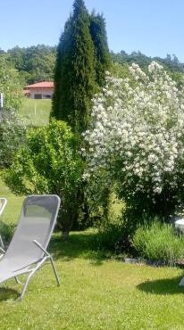 Apartma Deni