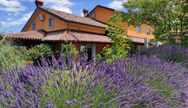 Apartma Lavanda