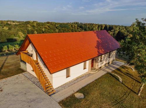 APARTMA Viktor