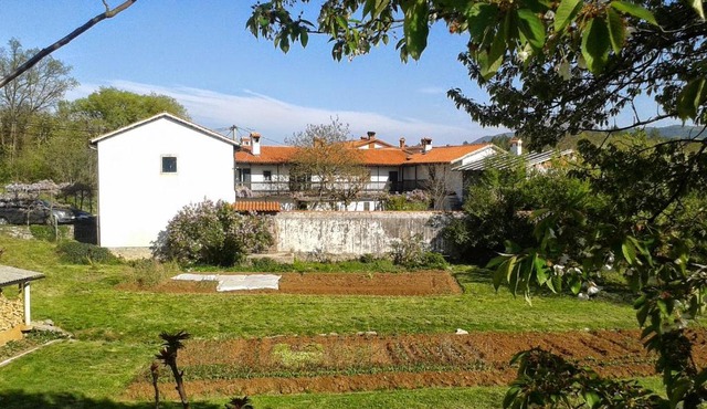 Apartmaji Hedera