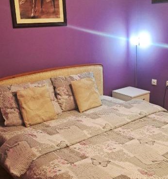 Apartman Žile