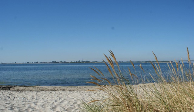 Apartment /app. for 4 guests with 85m² in Fehmarn OT Fehmarnsund (13626)