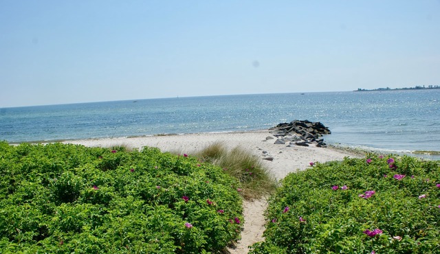 Apartment /app. for 4 guests with 100m² in Fehmarn OT Fehmarnsund (22244)