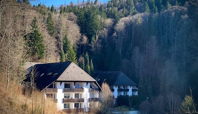 Apartment 'Riese' with Balcony and Wi-Fi
