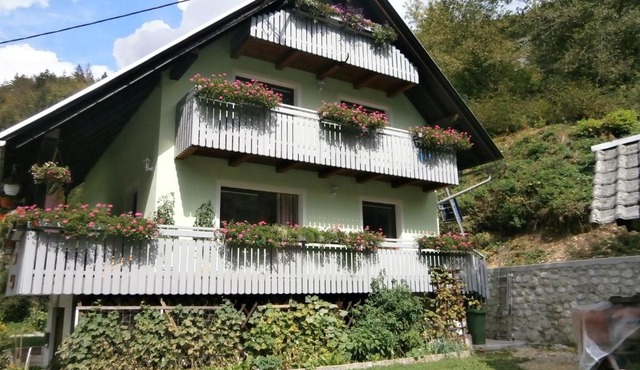 Apartment Žvan