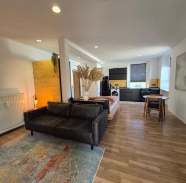 Apartment #1
