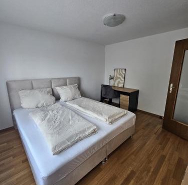 Apartment 2 Hügelruhe Mandach - 25 m2 - 1 Schlafzimmer - Ferien - Business