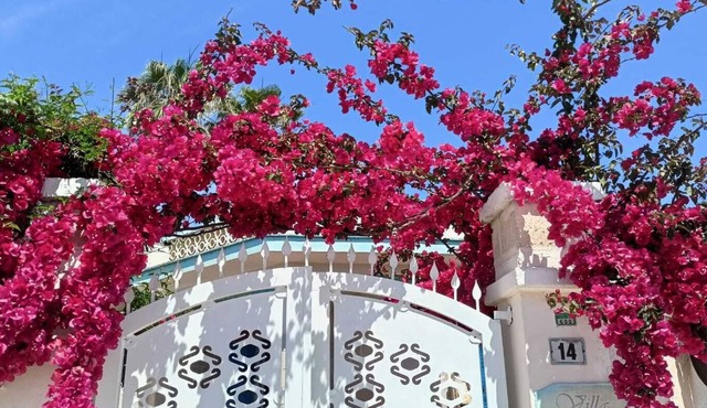 APARTMENT 4 SLEEPS IN A VILLA ONLY 100MT FROM THE SEA OF SAND
