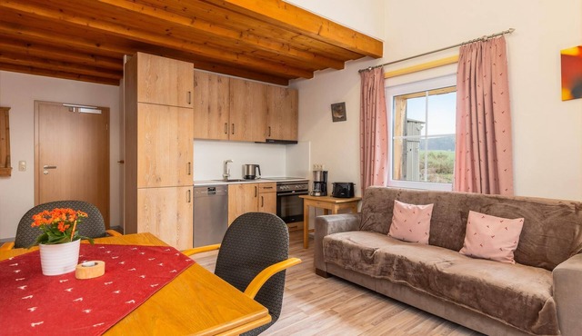 Apartment (55sqm) with south-facing balcony and sauna (for shared use)