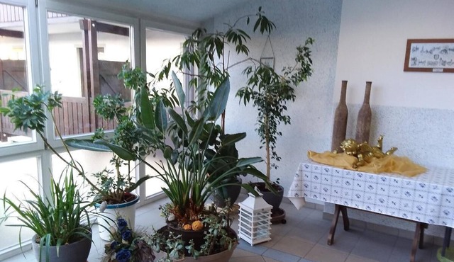 Apartment (60sqm) for 3 people with separate kitchen