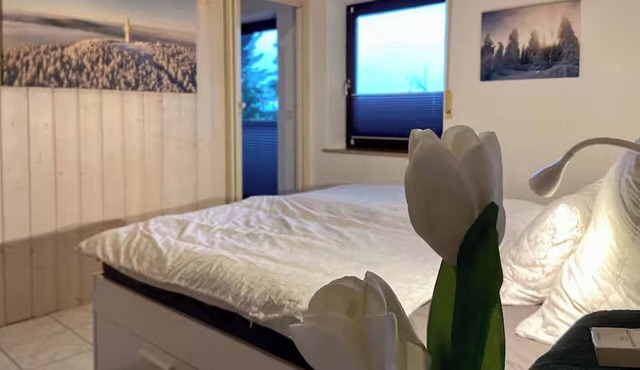 Apartment 65 m2 Nature view