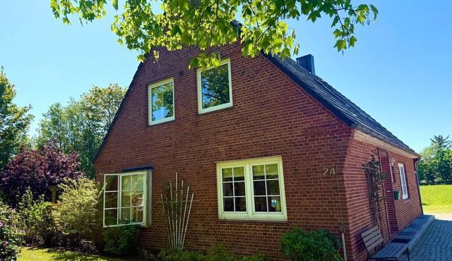 Apartment/apartment for 5 guests with 62m² in Utersum (109706)