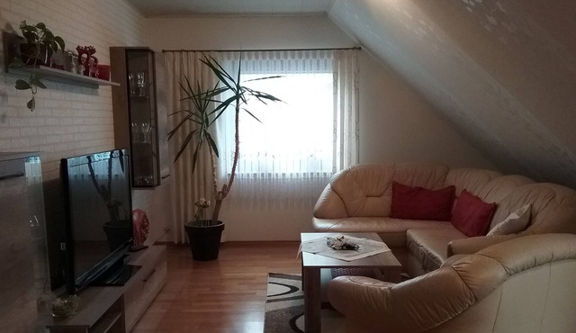 Apartment APOLLO