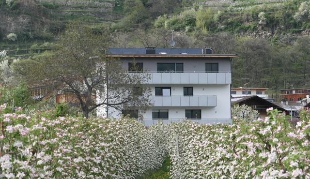 Apartment "Apple Blossom" with large balcony