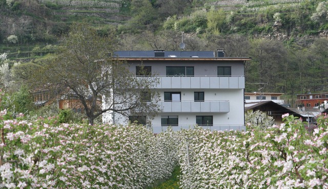 Apartment "Apple Blossom" with large balcony