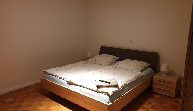 Apartment at the spa park