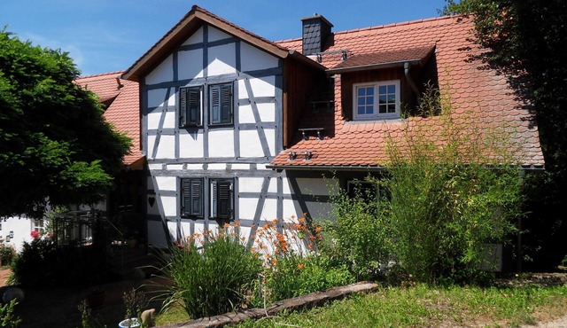 Apartment Böllsteiner height