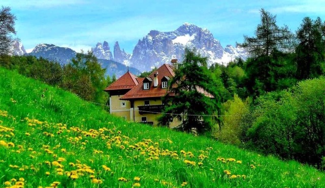 Apartment Berta including Südtirol Mobil Card free of charge | Waldegg