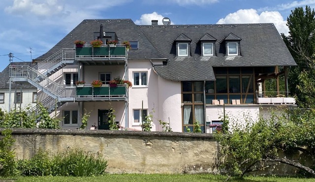 Apartment between vineyards and the Moselle