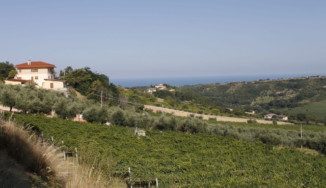 Apartment between the vineyards and the sea
