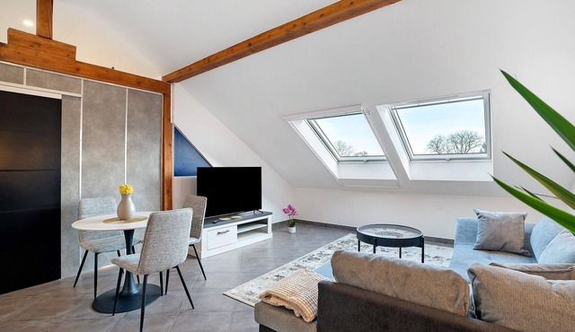 Apartment "Blackforest" with Wi-Fi