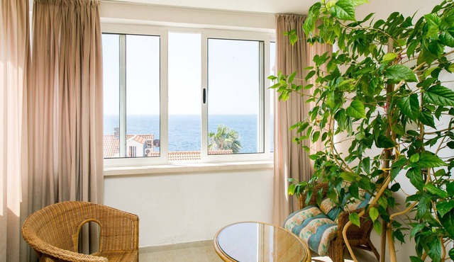 Apartment Bor